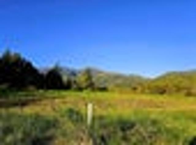 Land for sale in Waimangaroa