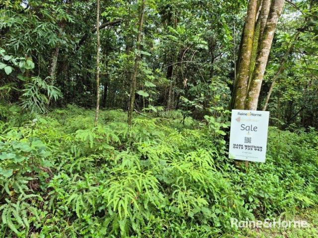 Land for sale in Forest Creek, Queensland
