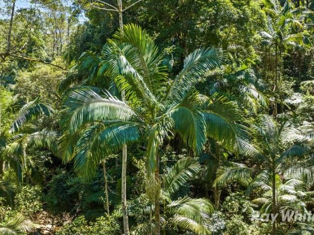 Cottage for sale in Upper Crystal Creek, New South Wales