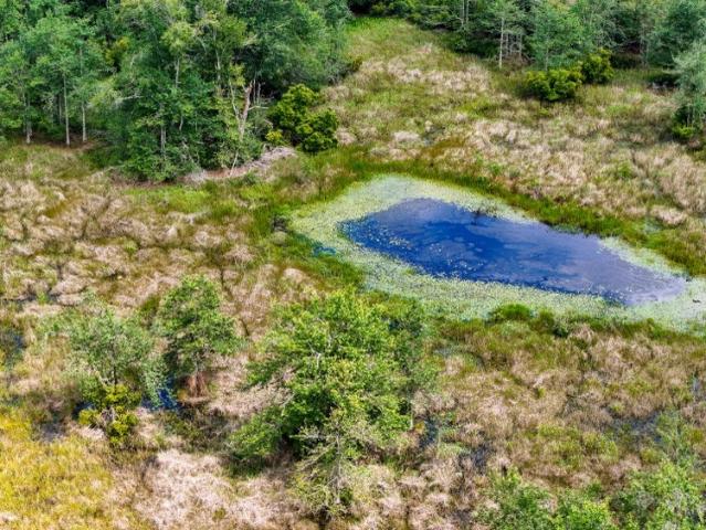 Land for sale in Jasper, Texas