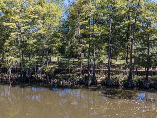 Land for sale in Marion, Texas