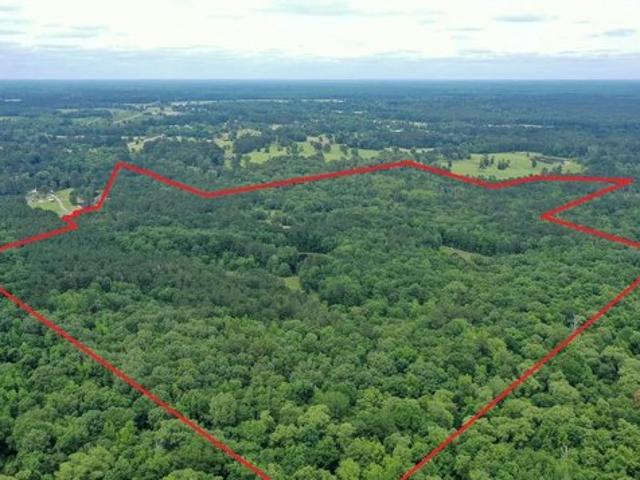 Farm for sale in Panola, Texas