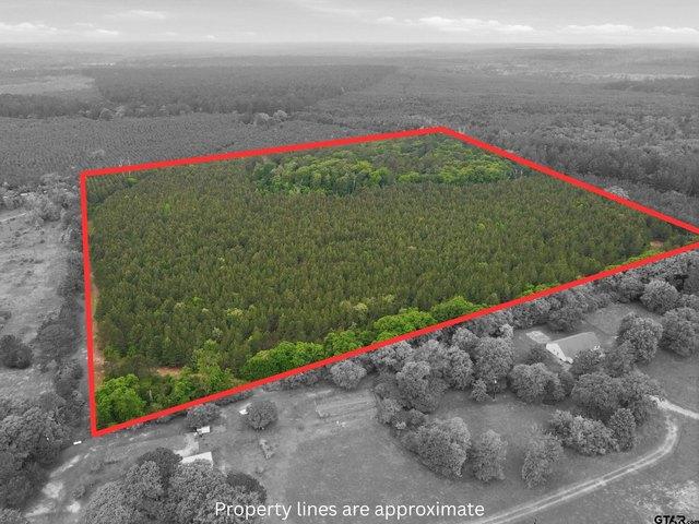 Land for sale in Wood, Texas