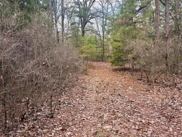 Land for sale in Wood, Texas
