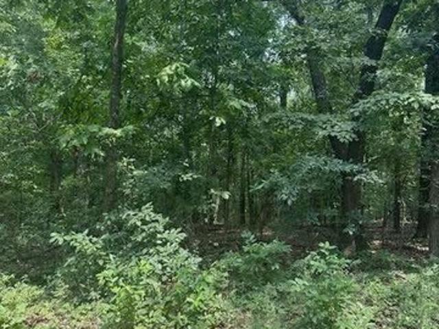 Land for sale in Alton, Missouri