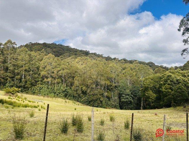 Land for sale in North Motton, Tasmania