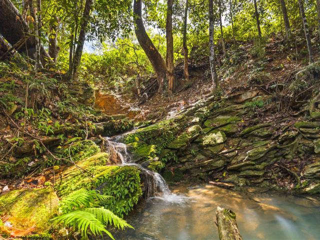 Property for sale in Cootharaba, Queensland