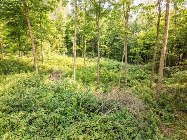 Land for sale in Millersburg, Holmes County