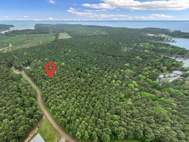 Land for sale in Broaddus, Texas