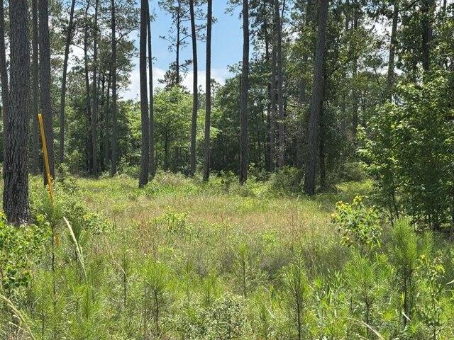Land for sale in Brookeland, Texas