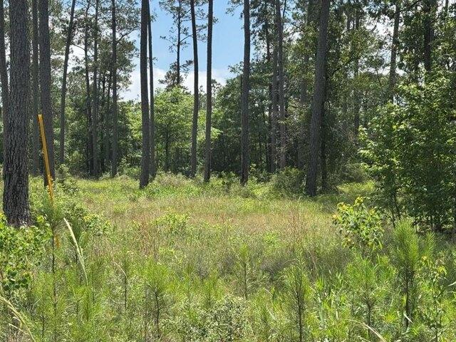 Land for sale in Brookeland, Texas