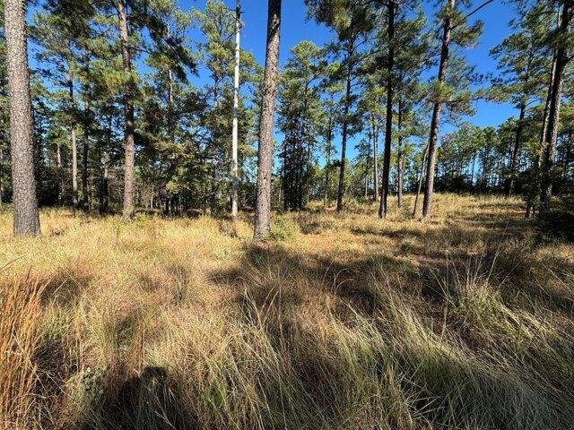 Land for sale in Brookeland, Texas