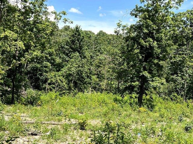 Land for sale in Ark