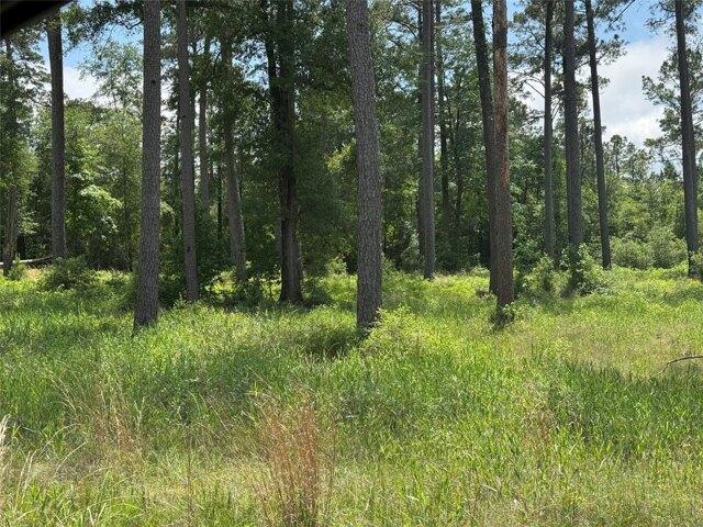 Land for sale in Brookeland, Texas