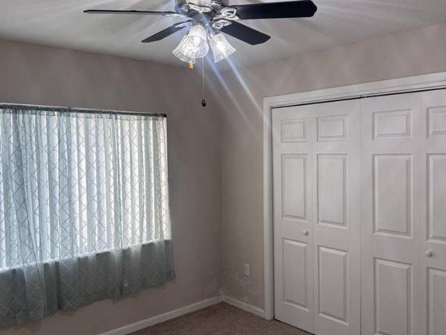 Room for rent in Tampa, Florida