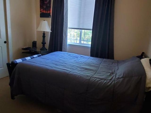 Room for rent in Fort Collins, Colorado