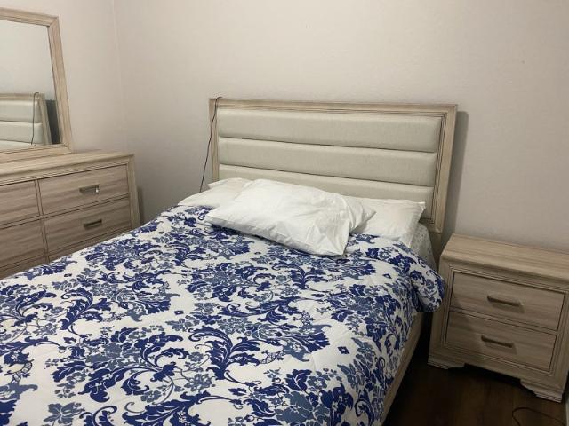 Room for rent in Tampa, Florida