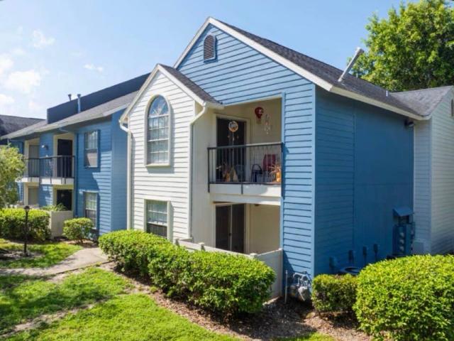 Room for rent in Tampa, Florida