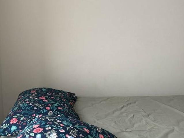 Room for rent in Tampa, Florida
