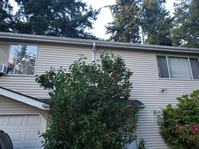 Room for rent in Seattle, Washington