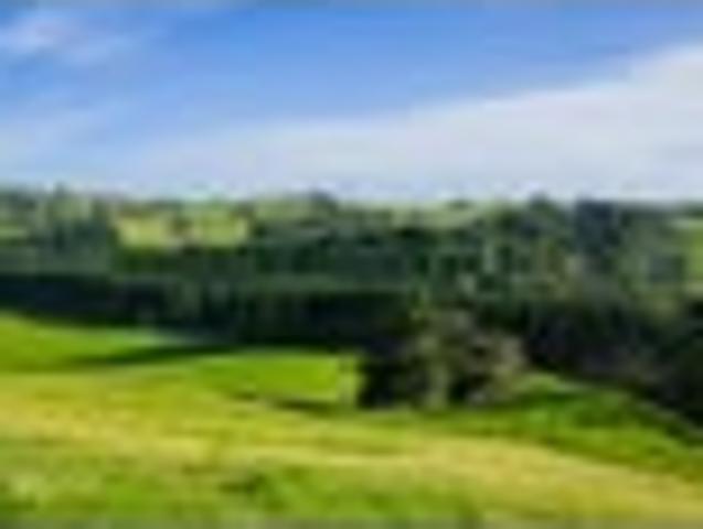 Land for sale in Northland