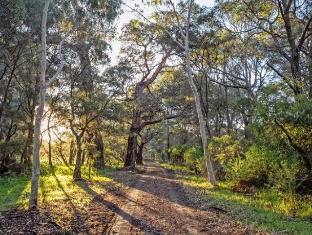 Cottage for sale in Margaret River, Western Australia