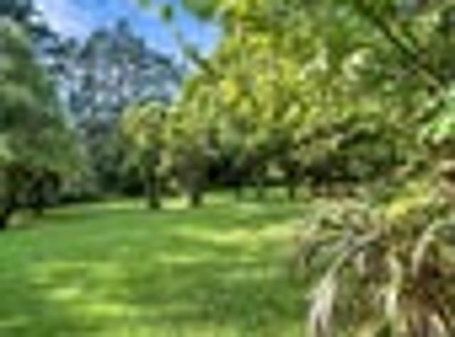 House for sale in Bay Of Plenty