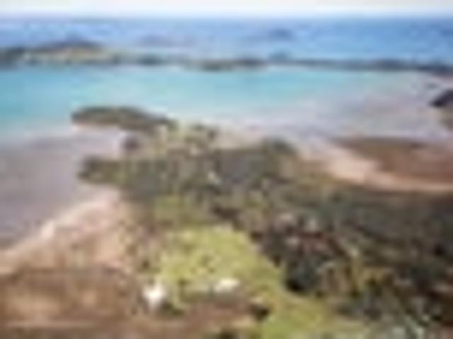 House for sale in Coromandel, Waikato
