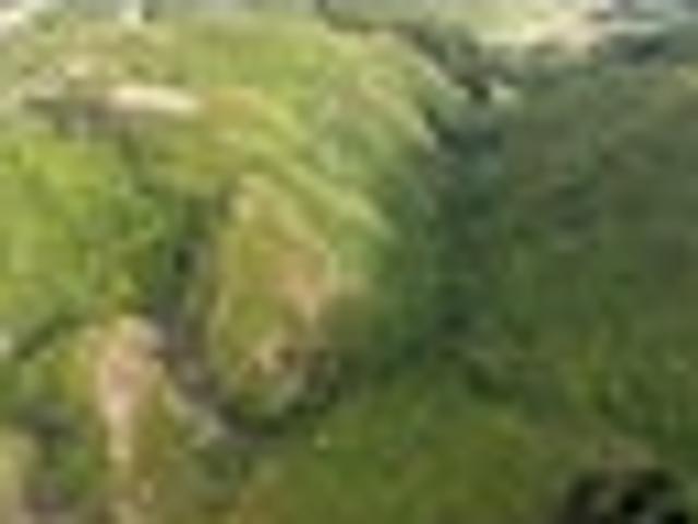 Land for sale in Manawatu District
