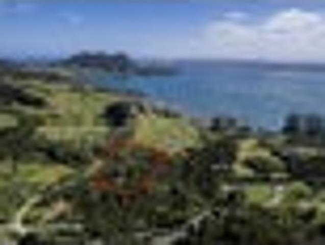 Land for sale in Northland