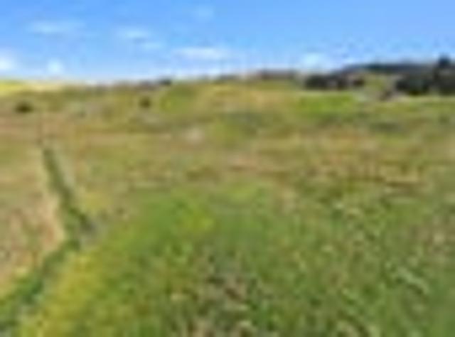 Land for sale in Northland