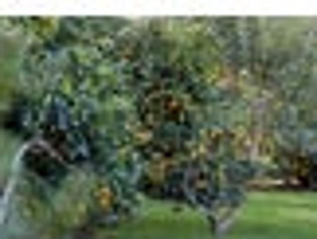 House for sale in Awhitu, Oroua County