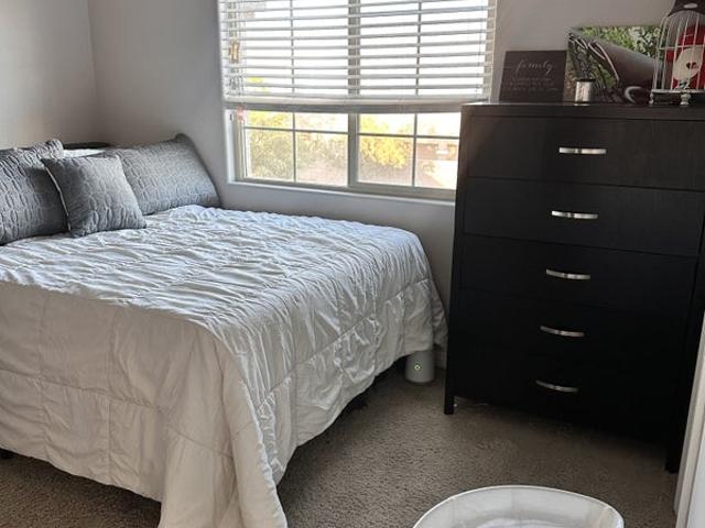 Room for rent in Nevada
