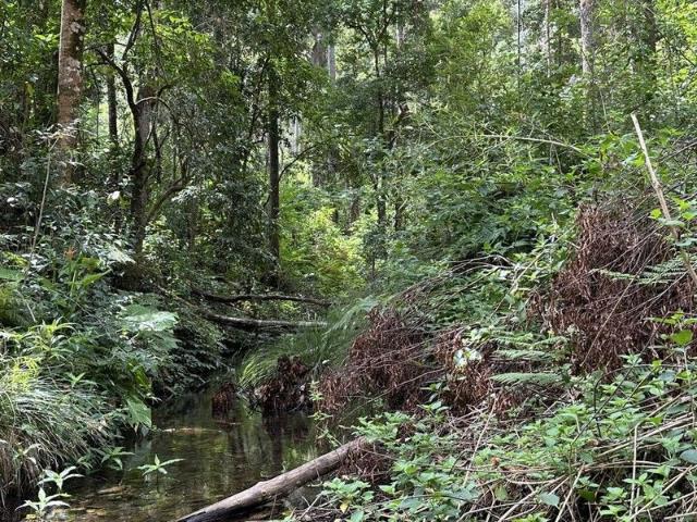 Land for sale in Comara, New South Wales