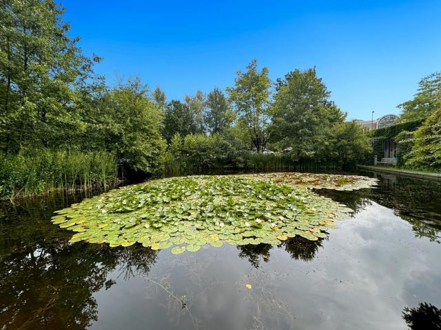 Gewerbe mieten in Stadtwald, Essen