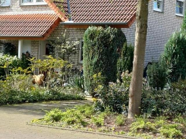 Haus kaufen in Innenstadt, Lage