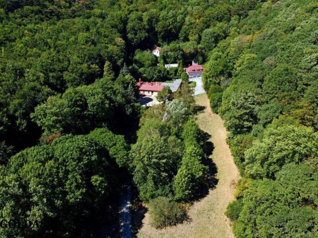 Haus kaufen in Sooß, Niederösterreich