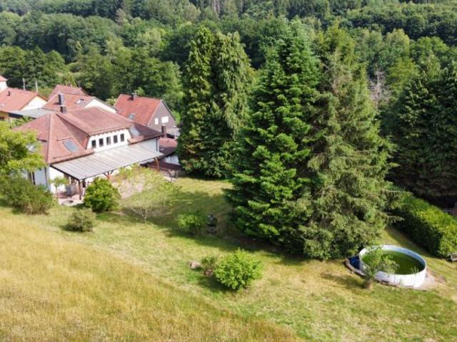 Villa kaufen in Blieskastel, Saarland