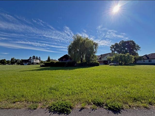 Grundstück kaufen in Fußach, Vorarlberg