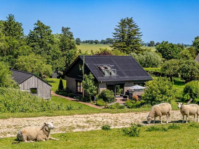 Haus kaufen in Kollmar, Schleswig-Holstein
