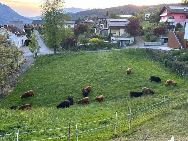 Grundstück kaufen in Satteins, Vorarlberg