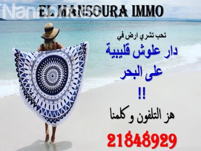 Terrain vente