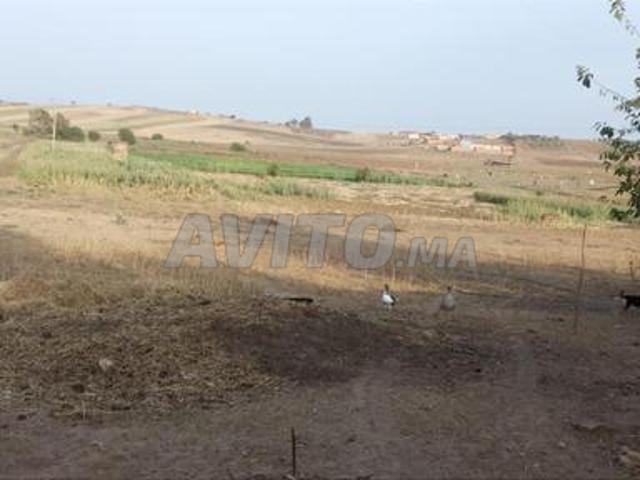 Propriété vente à Rissana Janoubia, Tanger-Tétouan