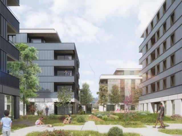 Apartment mieten in Orbe, Waadt