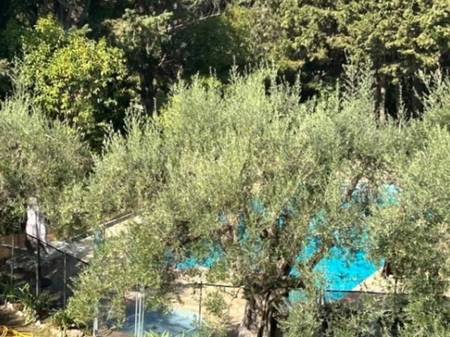 Appartement vente à Antibes, Alpes-Maritimes
