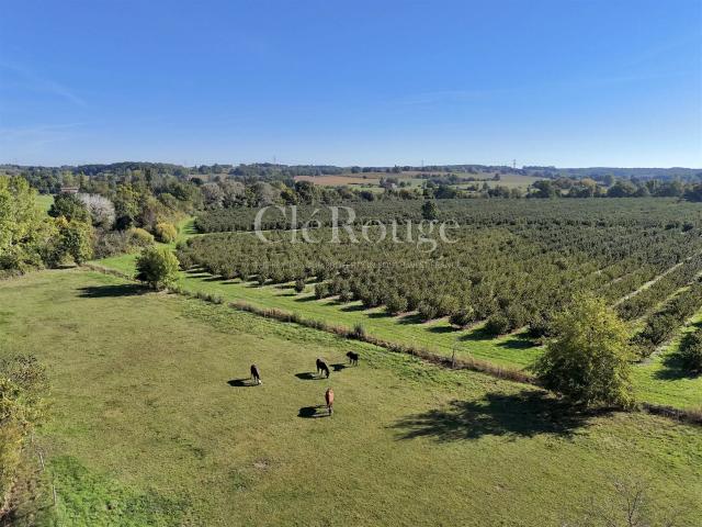 Maison vente à Marmande, Duras