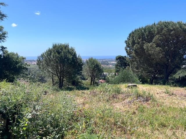 Terreno venda em Quinta de São Martinho, Cascais