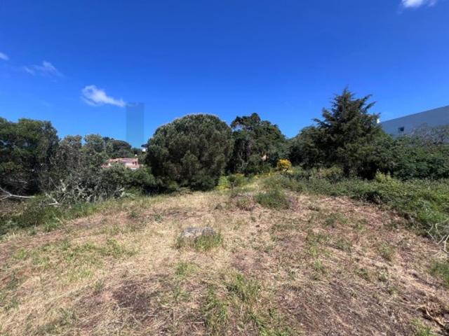 Terreno venda em Janes, Cascais