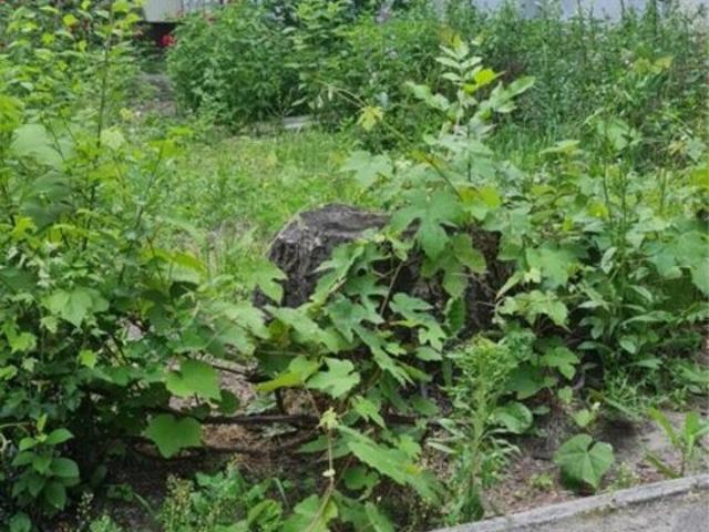 Квартира продажа в Запорожье