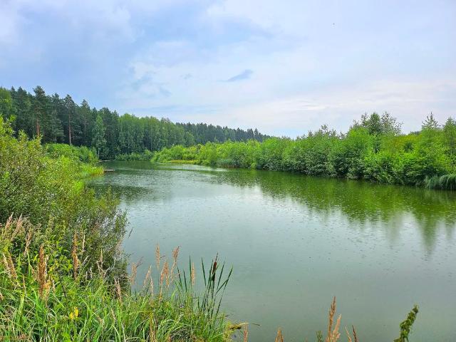 Недвижимость продажа в Ярославская область